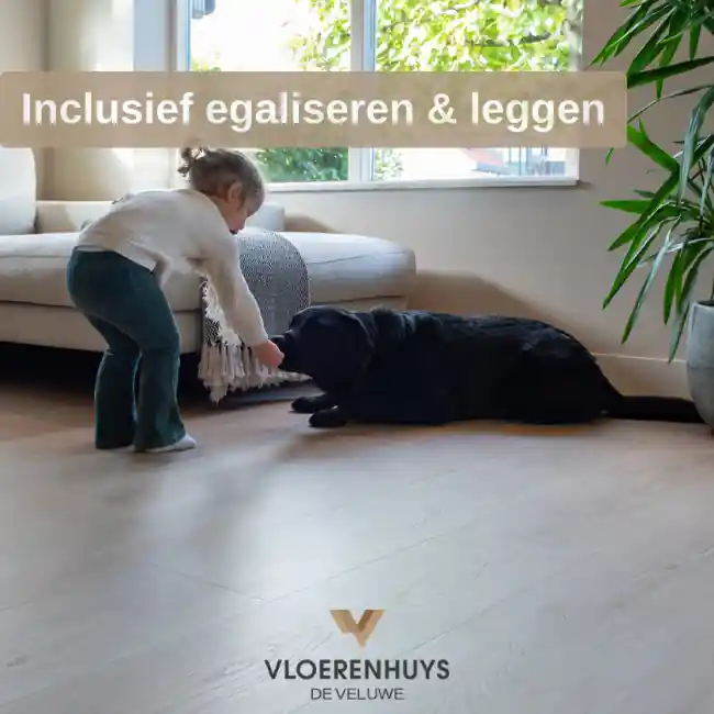 Nu Kopen Monastro 920 inclusief leggen