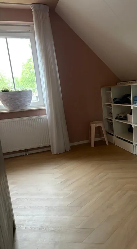 Oakland Special 3701 (Weense punt) Voordeelprijs