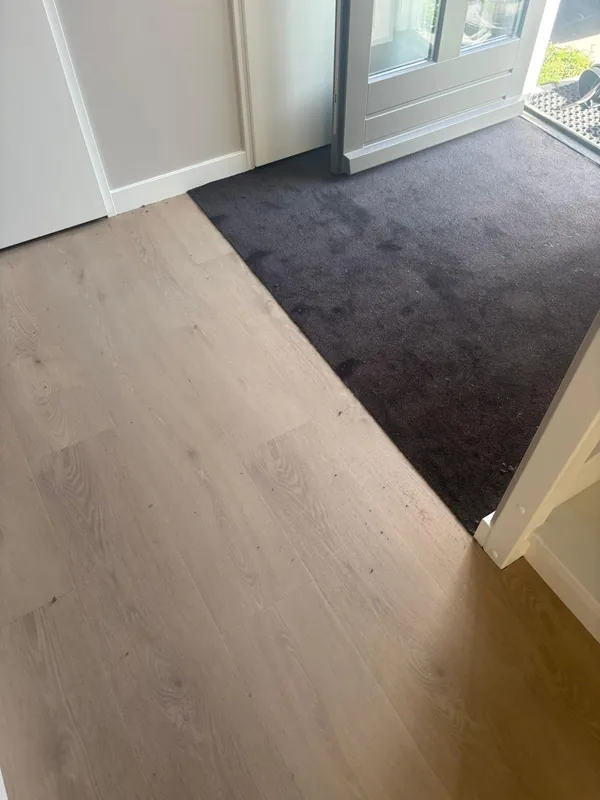 Premium Palazzo 740