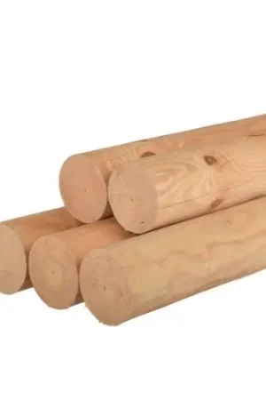 Alleen Vandaag Ronde paal vuren onbehandeld gefreesd kop Ø10 x 500 cm