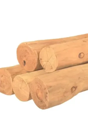 Beperkte Voorraad Ronde paal robinia geschild spintvrij geschuurd Ø 10-14 x 350 cm