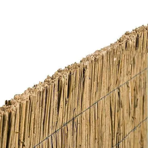 Rietplaat 125 x 200 cm Exclusieve Aanbieding