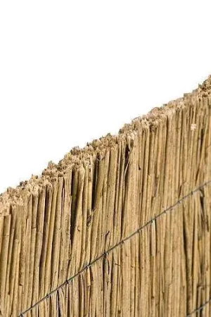Actieprijs Rietplaat 150 x 200 cm