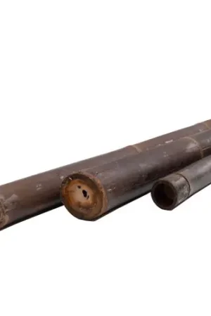 Bamboepaal Black 8-10 x 300 cm Beperkt Aanbod