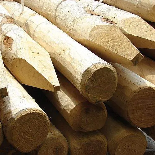 Kastanje paal 10-12 x 300 cm 8.81030 Aanbieding
