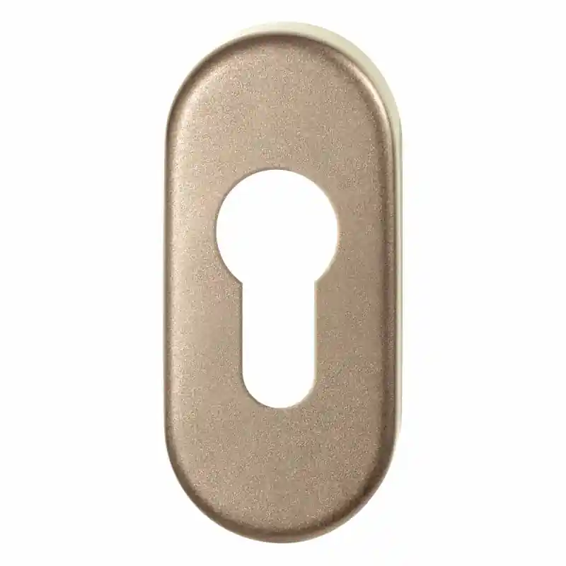 GPF1104.A4 cilinderrozet 70x32x10mm Champagne blend Hoge Kwaliteit