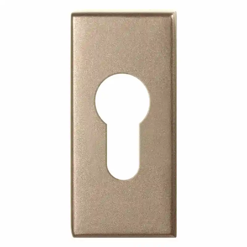 GPF1101.A4 cilinderrozet 70x32x10mm Champagne blend Laatste Kans