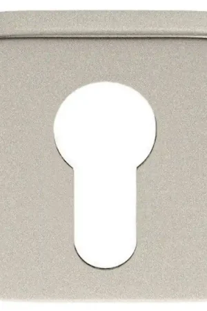 Alleen Vandaag Luxuria Cilinderrozet vierkant recht, mat nikkel PVD, 50x50x8mm