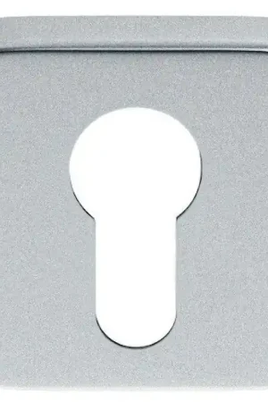 Laatste Kans Luxuria Cilinderrozet vierkant afgerond, glans chroom, 50x50x8mm