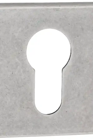 Lage Prijs Luxuria Cilinderrozet, antiek zilver, 52x52x10mm