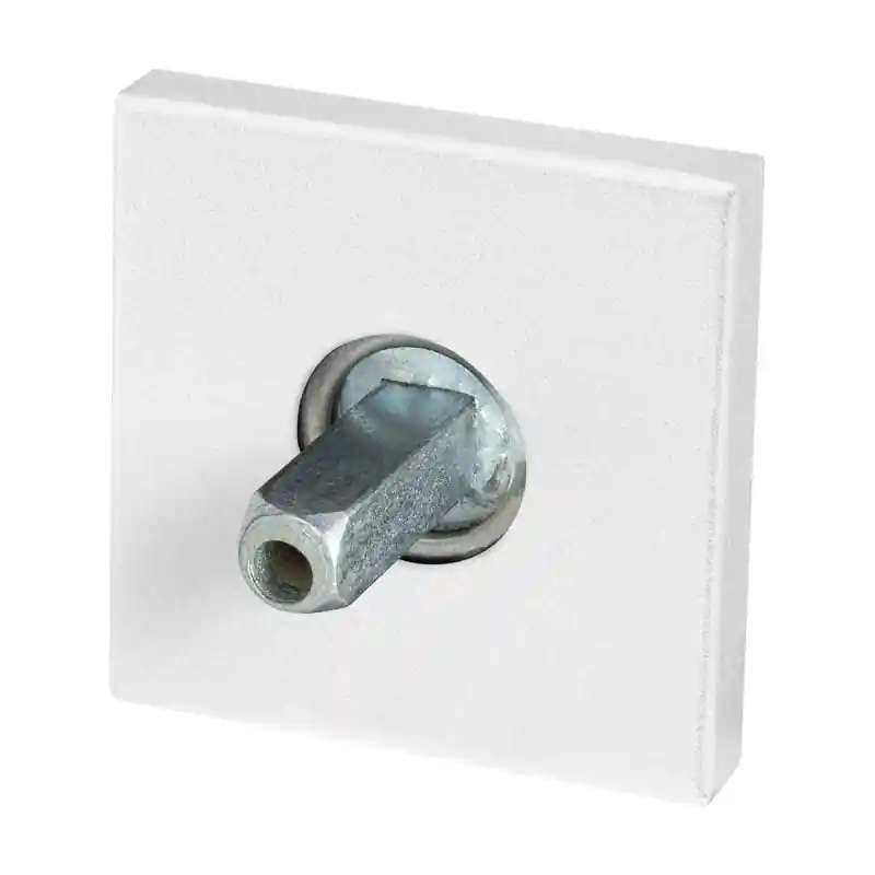 Nu Kopen GPF8100.42.400 rozet 50x8mm wit met vastgelaste knopvastzetter