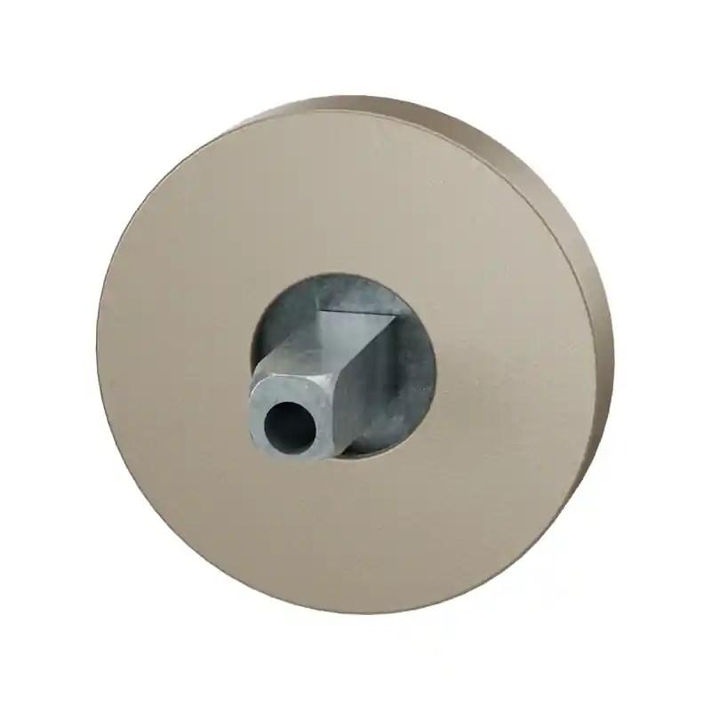 Lage Kosten GPF1100.A4.0400 rozet 50x8mm Champagne blend met vastgelaste knopvastzetter