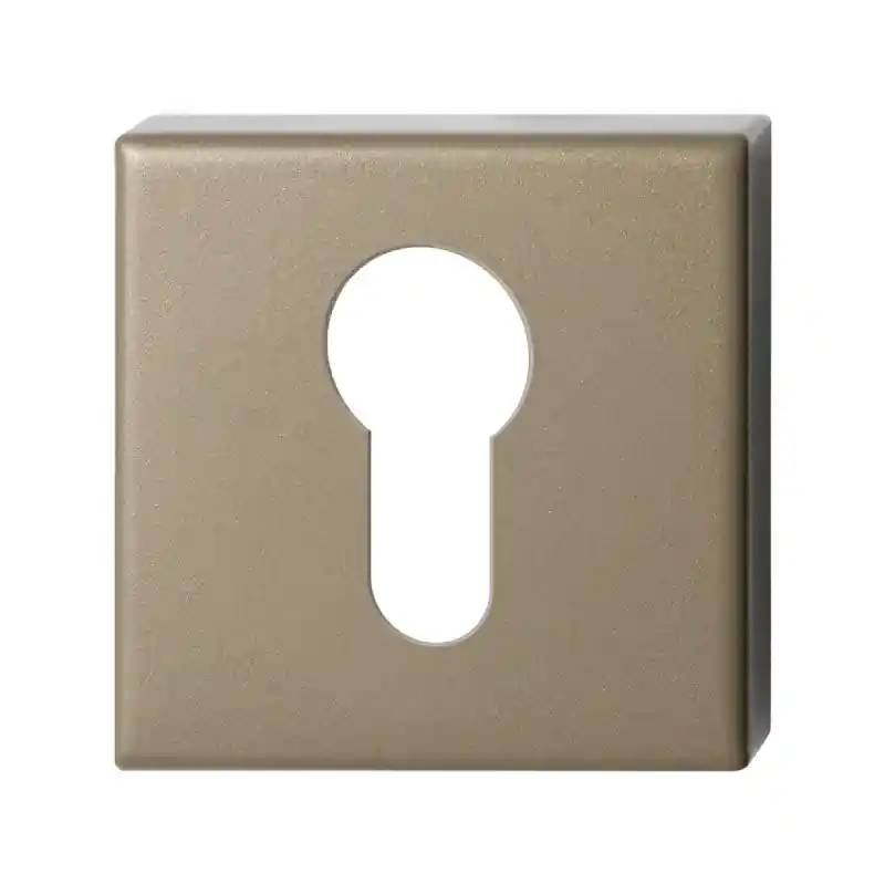 Cilinderrozet GPF1102.A4.0902 50x50x8 mm Champagne blend Finale Uitverkoop