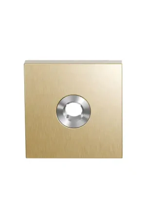 Voordeelprijs Veiligheidskrukrozet Buiten Vierkant Draaibaar PVD Mat Messing GPF9387.P4O