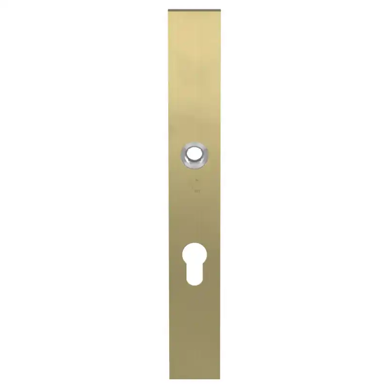 Laatste Versie GPF9138.P4 veiligheidsbinnenschild PVD mat messing