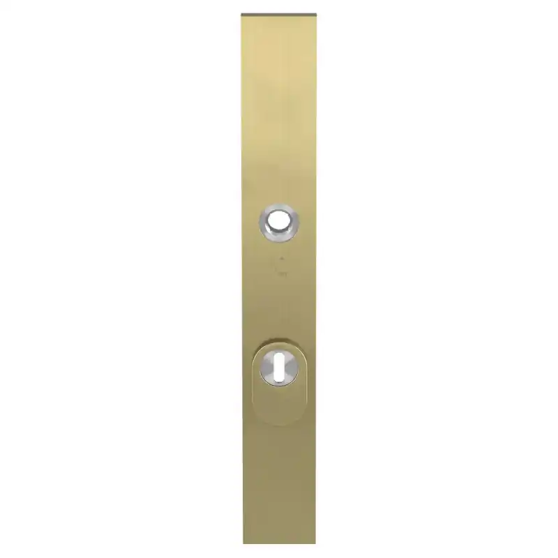 GPF9038.P4 veiligheidsbuitenschild met kerntrekbeveiliging PVD mat messing Koopje