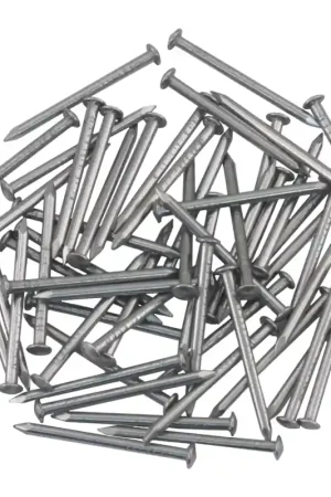 Aanbieding Ellen tochtstripnagel 25 x 1.6 mm RVS