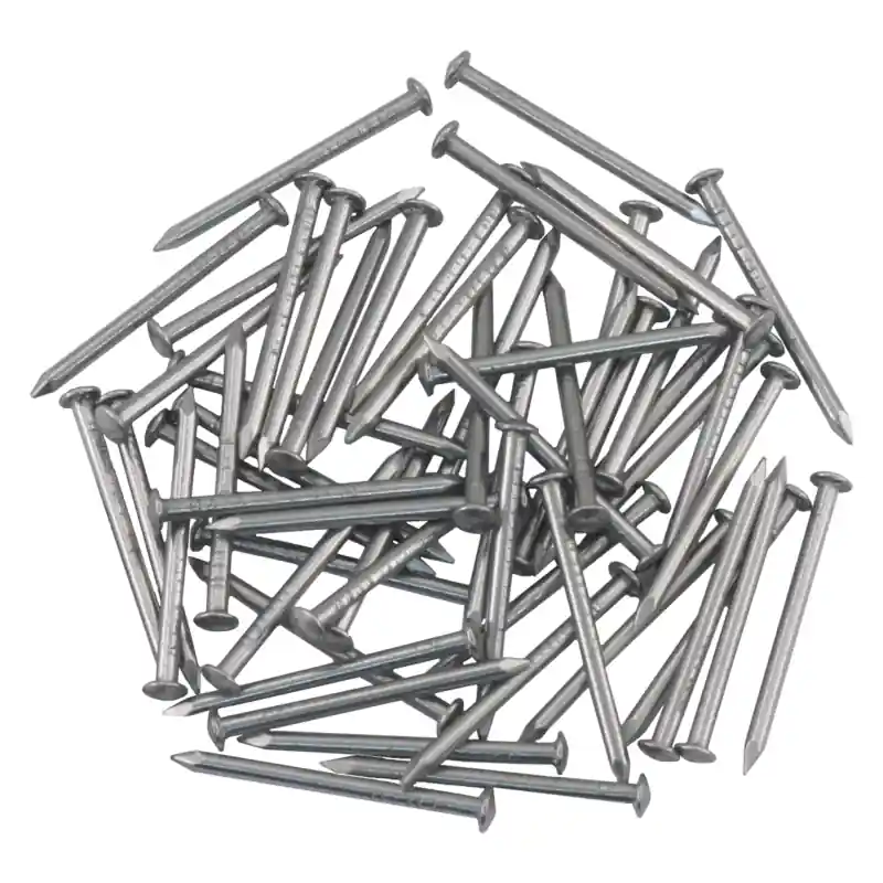 Aanbieding Ellen tochtstripnagel 25 x 1.6 mm RVS