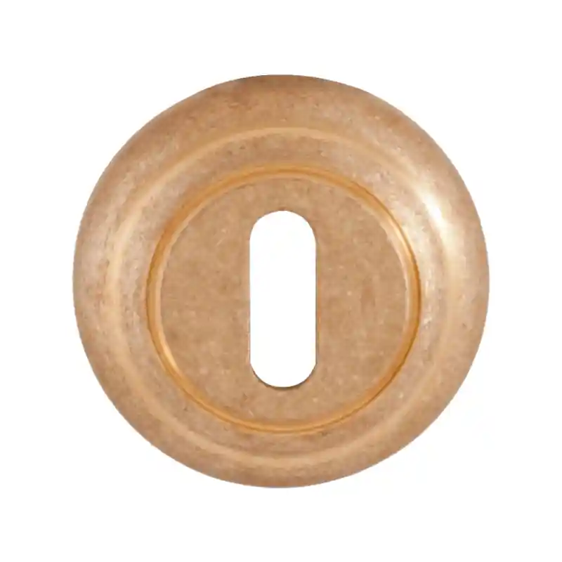 651/B sleutelrozet 51x12mm messing getrommeld Laatste Versie