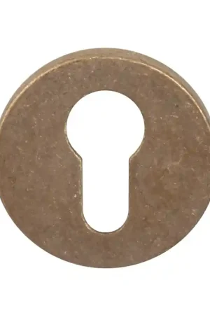911/BY cilinderrozet 51x6mm messing getrommeld Direct Beschikbaar