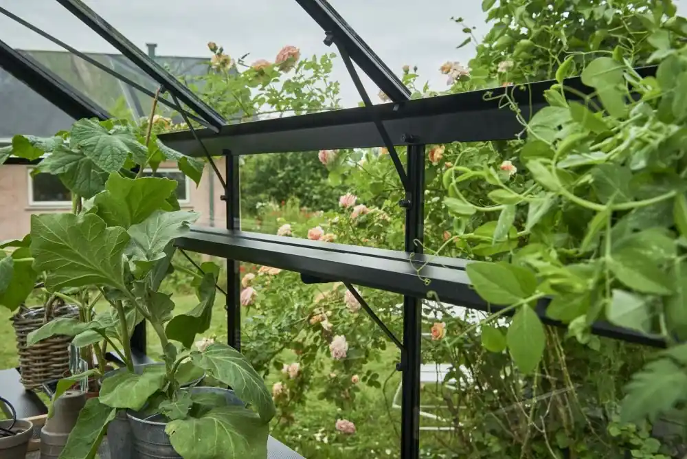 Laatste Versie Royal Well Schap Birdlip 46 & Burford 66 Zwart Gecoat
