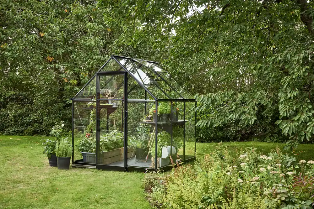 Royal Well Tuinkas Qube 66 Veiligheidsglas Zwart Gecoat Beste Prijs