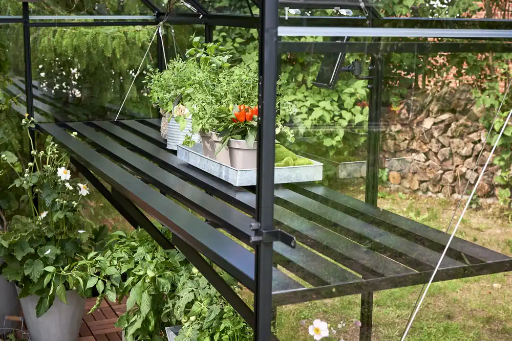 Royal Well tafel Qube 66 Premium