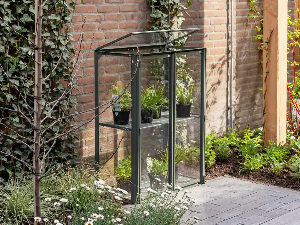 Fabrieksprijs Royal Well Kweekkast Urban Grower Medium 42 x 77 cm