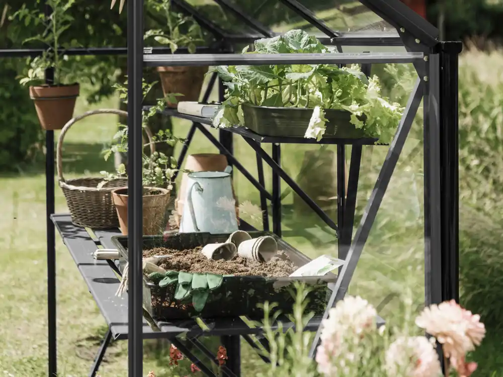 Fabrieksprijs Royal Well Kweekschap voor Kate 1 Zwart
