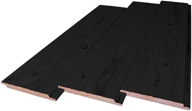 Douglas Sponningplank 1.8 x 19.5 cm (18 x 195 mm) Zwart Gespoten - Lengte 400 cm Veilige Betaling