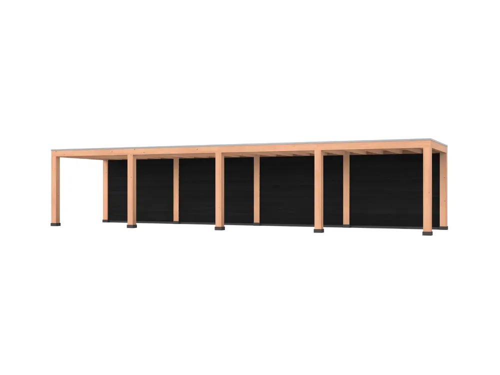 Douglas overkapping, 1200 x 300, met zwarte achterwand, Westwood Modern Betaalbaar