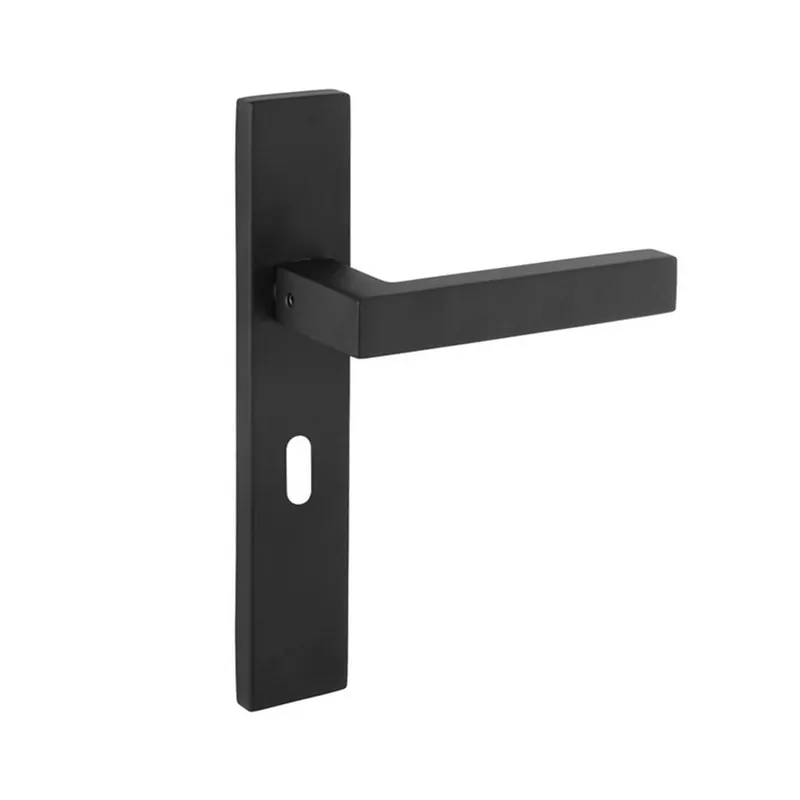 Exclusieve Aanbieding Best Buy 204 L op schild mat zwart incl sleutelgat