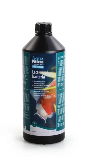 Betaalbaar AquaForte melkzuurhoudende bacteriën 1 liter Vijver bacteriën