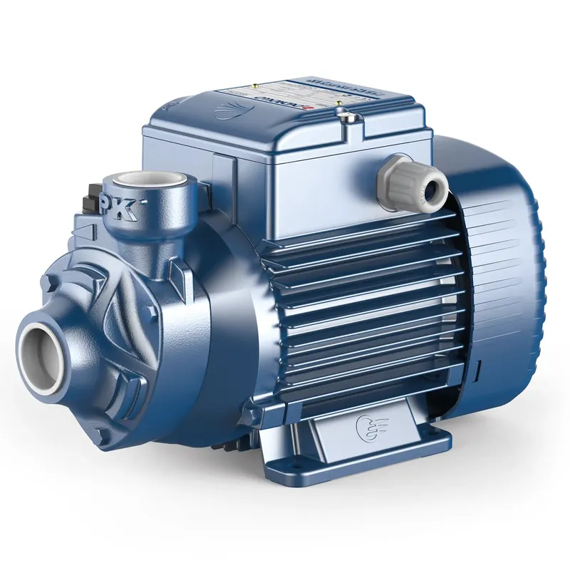 Shop Nu Pedrollo PKm 60 (230V - 0,37 kW)