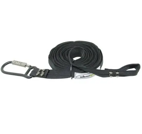 Uitverkoop Anti-diefstalspanband 301