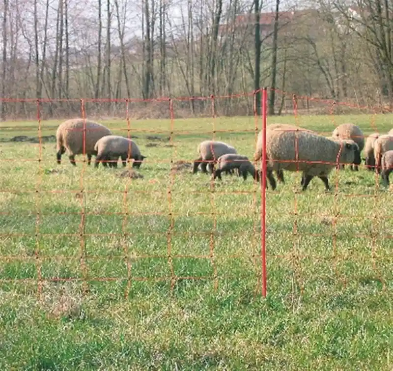Meest Verkocht Net Schapen 90cm 50 meter