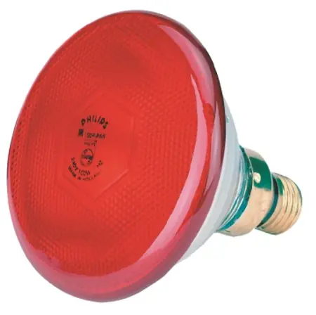 Must-Have Lamp infrarood Rood 100 Watt