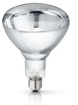 Gratis Retour Lamp Infrarood WIT 250 Watt