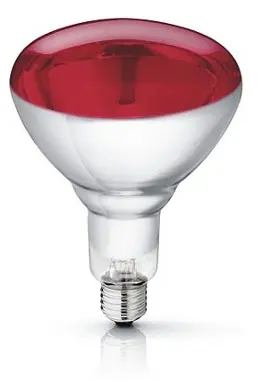 Weekendaanbieding Lamp Infrarood ROOD 250 Watt