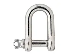 DX D-sluiting 06 mm rvs AISI 316 Laatste Versie
