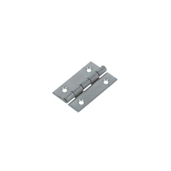 DX Smalscharnier 35×22 mm rvs gepolijst Populair