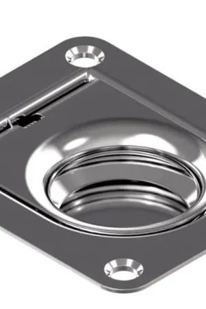 Betrouwbaar Luikring Rechthoekig 65X55 mm rvs A4