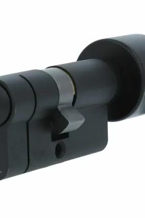 Veiligheidsknopcilinder 30/30 Iseo F6 Extra S SKG3 zwart Koopje
