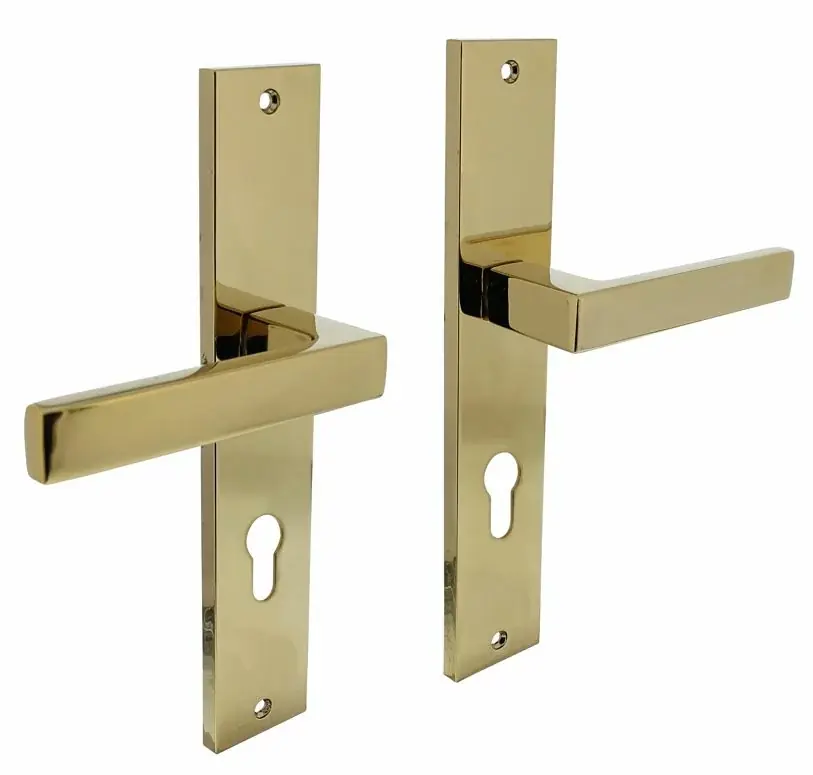 Nu Kopen Intersteel deurklink Hera op langschild PC72 PVD messingkleur