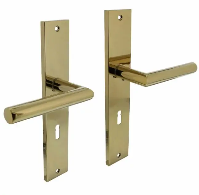 Weekendaanbieding Intersteel deurklink Bastian op langschild SL72 PVD messingkleur