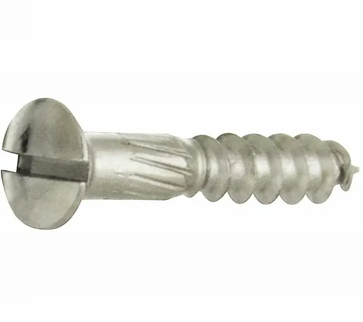 Houtschroef (4 stuks) 3,0×16 mm glans nikkel Nu Kopen