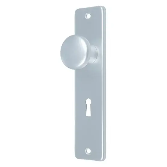 Ami kortschild met vaste knop SL56 aluminium F1 Rechtstreeks Van De Fabrikant