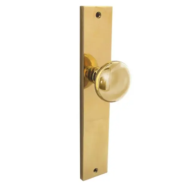 Intersteel knopschild 245x45mm blind PVD messingkleur Dagaanbieding