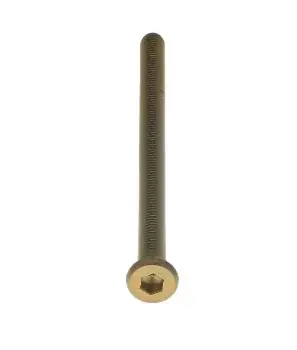 Koop Vandaag Intersteel bout 6-kant M6x100mm tbv SKG3 schilden voor deurdikte 85-89mm PVD messing getrommeld