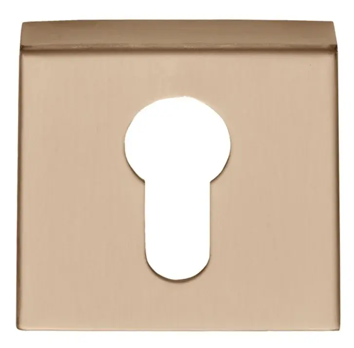 Cilinderplaatje BASICS BSQY53 PVD licht brons Bestseller